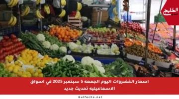 أسعار الخضروات اليوم الجمعة 5 سبتمبر 2025 في أسواق الإسماعيلية تحديث جديد